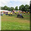 IMG_0742.JPG
